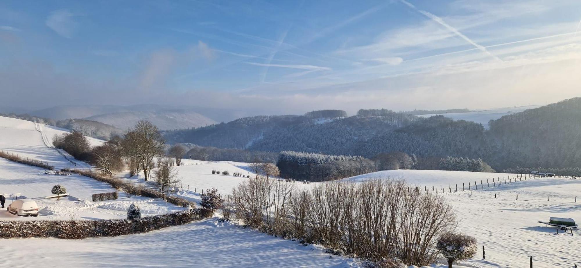 Fewo-Eifel-Morsbach Schleiden Exterior photo
